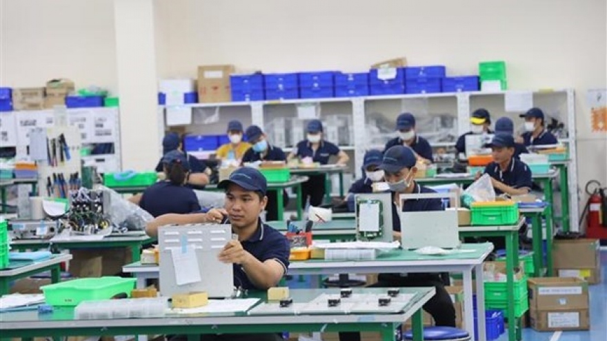 Japanese businesses seek investment opportunities in Mekong Delta